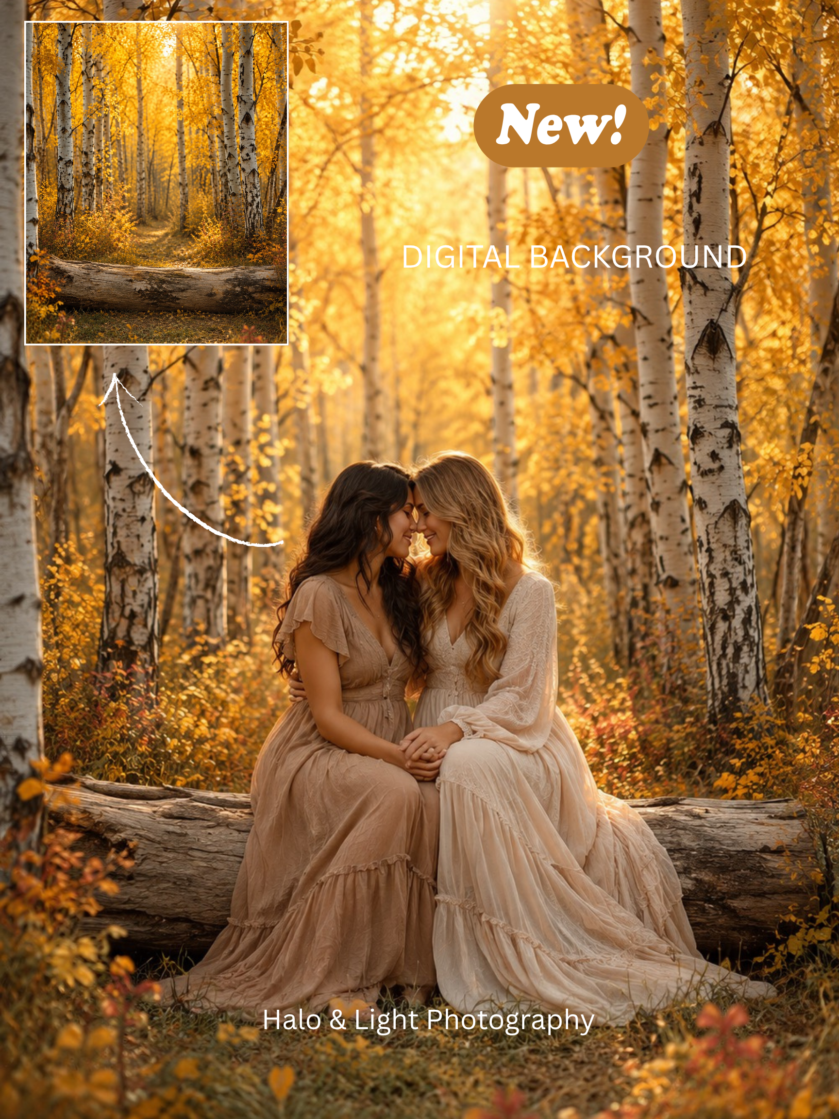 🍂 Golden Birch Forest Digital Background 🍂